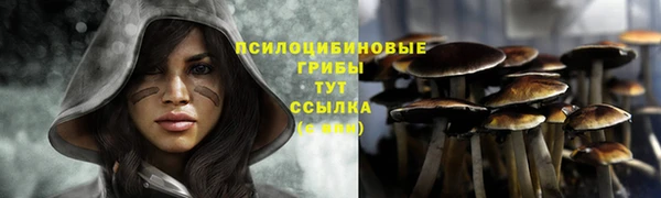 spice Семилуки