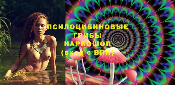 ПСИЛОЦИБИНОВЫЕ ГРИБЫ Лихославль