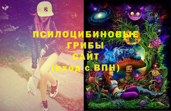 spice Семилуки
