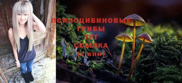 гидропоника Лиски
