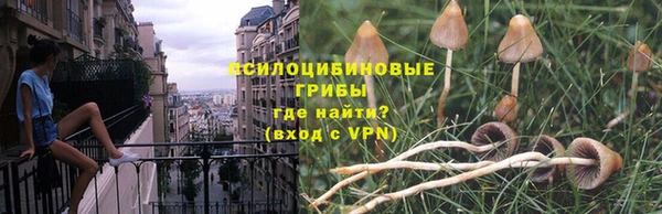 эйфоретик Семикаракорск