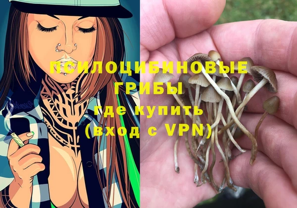 гидропоника Лиски