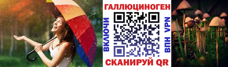 закладки  Ахтубинск  Псилоцибиновые грибы MAGIC MUSHROOMS 