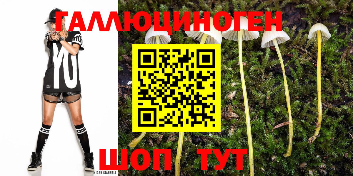 Галлюциногенные грибы мухоморы Ахтубинск